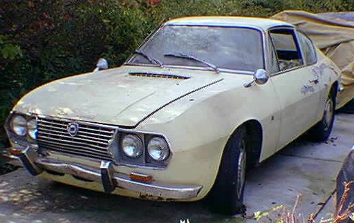 fulvia